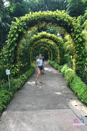 Original 2000 px/ 3000 px