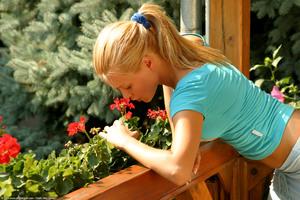 Original 1536 px/ 1024 px