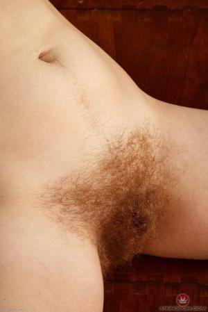 Original 854 px/ 1280 px