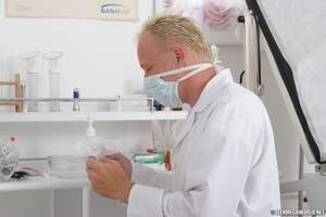 Original 2500 px/ 1667 px