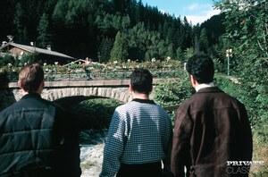 Original 2833 px/ 1868 px