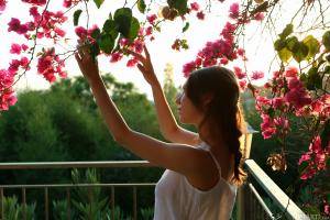 Original 4500 px/ 3000 px