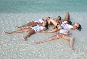 Original 1280 px/ 876 px