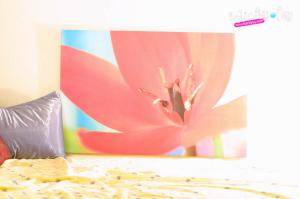 Original 1024 px/ 682 px