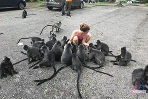 Original 3000 px/ 2000 px