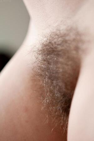 Original 2592 px/ 3888 px