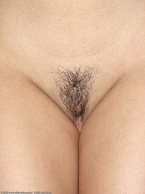 Original 1200 px/ 1600 px