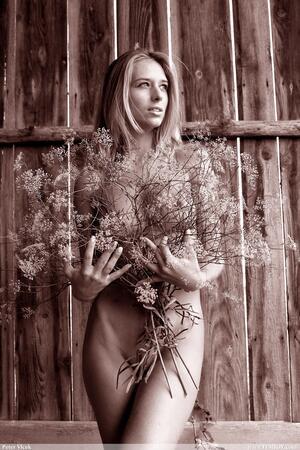 Original 2000 px/ 3000 px