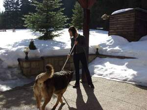 Original 1600 px/ 1200 px