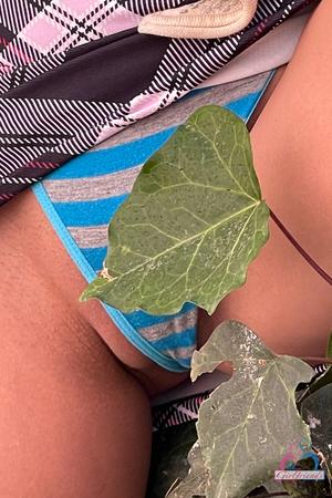 Original 2000 px/ 3000 px