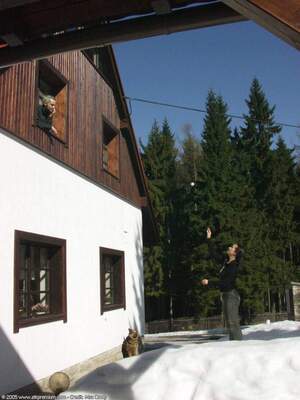 Original 1200 px/ 1600 px