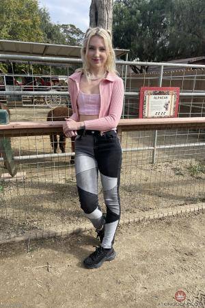 Original 2000 px/ 3000 px