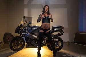 Original 2491 px/ 1663 px