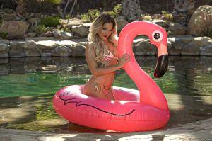 Original 2496 px/ 1663 px