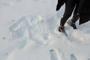 Original 1920 px/ 1280 px