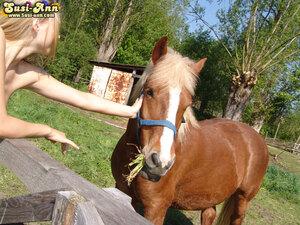 Original 1024 px/ 768 px