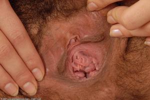 Original 1024 px/ 685 px