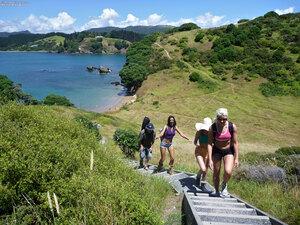 Original 2400 px/ 1800 px