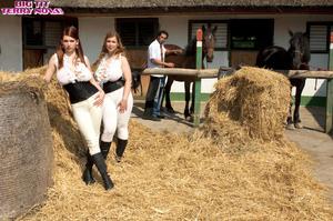 Original 3000 px/ 1993 px