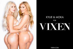 Original 2984 px/ 2000 px