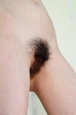 Original 1993 px/ 3000 px