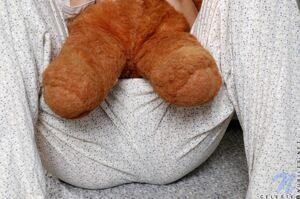 Original 1206 px/ 801 px