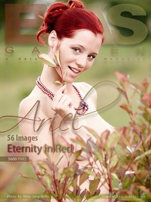 #EvasGarden Ariel eternity in red