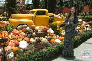 Original 3000 px/ 2000 px