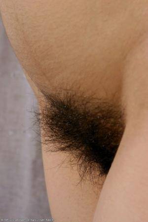 Original 682 px/ 1024 px