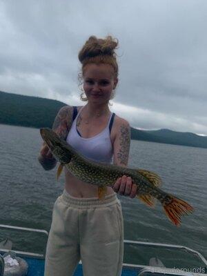 Original 1536 px/ 2048 px