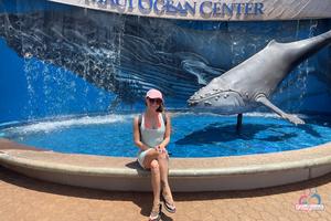 Original 3000 px/ 2000 px