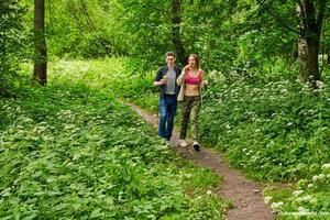 Original 6000 px/ 4000 px