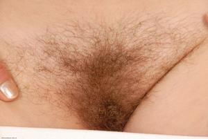 Original 3000 px/ 2008 px