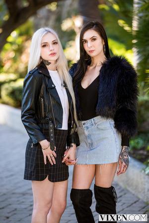 #vixen Marley Brinx, Alex Grey - Reunion