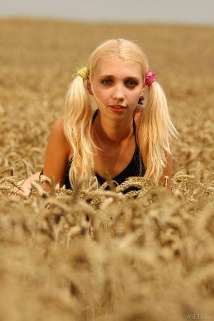 Original 852 px/ 1280 px