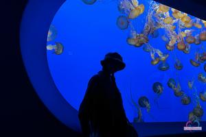 Original 3000 px/ 2000 px