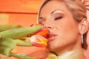 Original 2500 px/ 1662 px