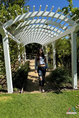 Original 2000 px/ 3000 px