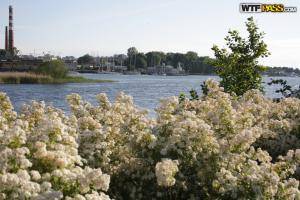 Original 1600 px/ 1067 px