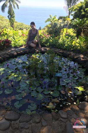 Original 2000 px/ 3000 px