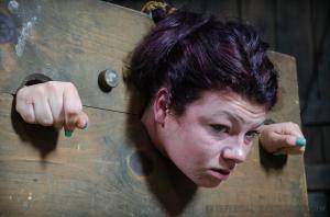 Original 1200 px/ 795 px