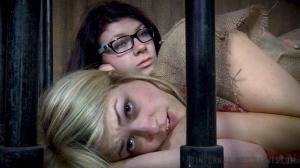 Original 1200 px/ 675 px