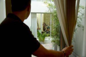 Original 2495 px/ 1663 px