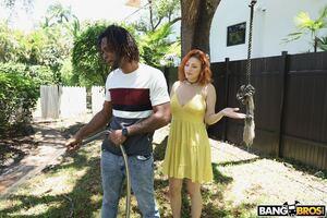 Original 1280 px/ 854 px