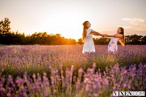 Original 3000 px/ 2000 px