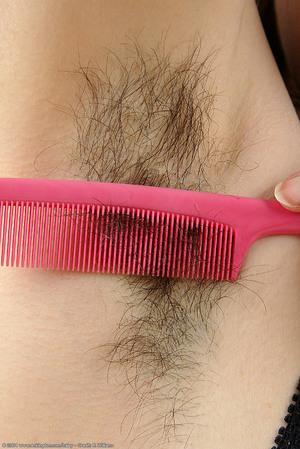 Original 684 px/ 1024 px