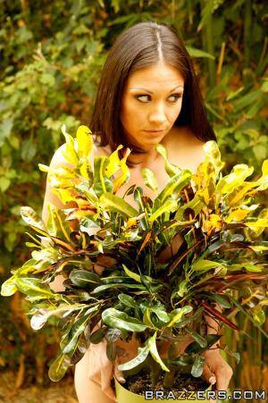 Original 600 px/ 902 px