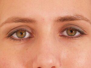 Original 1024 px/ 768 px