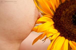 Original 3888 px/ 2592 px