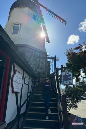 Original 2000 px/ 3000 px